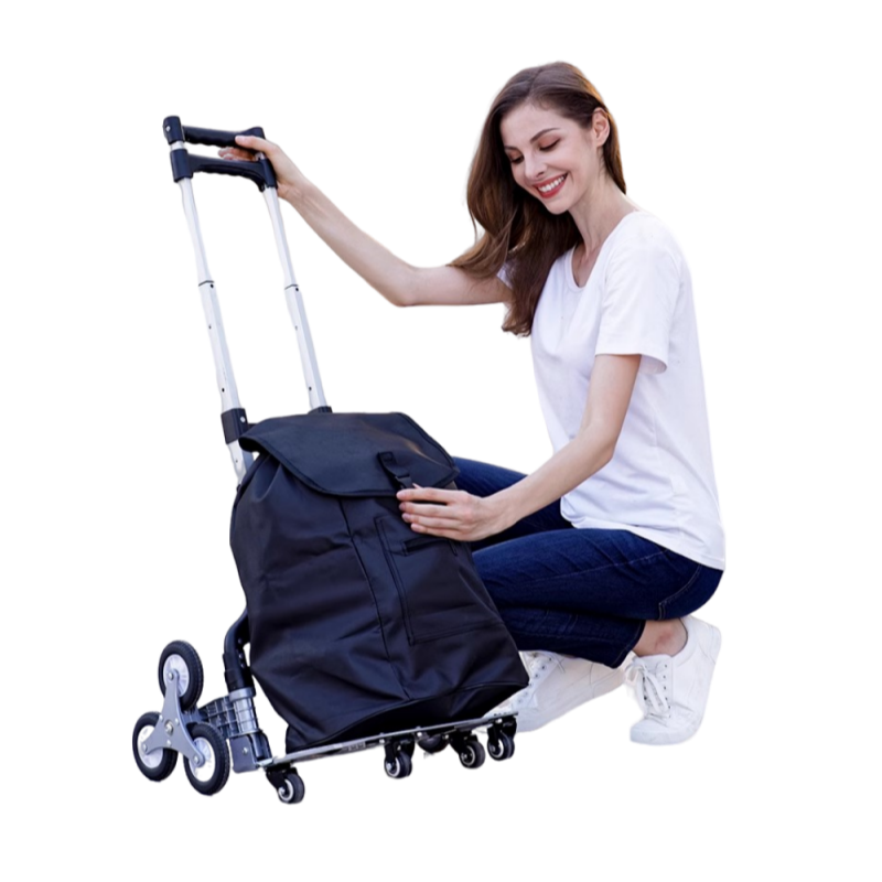 Multifunctional Foldable Canvas Shopping Cart Trolley Platform Rolling Swivel Plastic Wheels Detachable Waterproof Grocery Bag