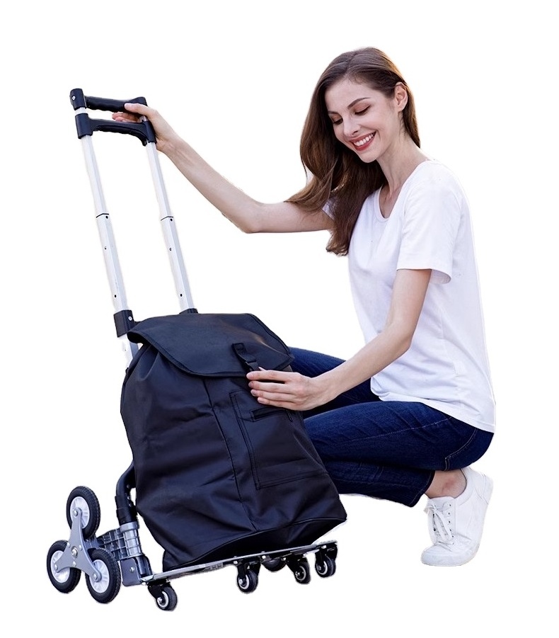 Multifunctional Foldable Canvas Shopping Cart Trolley Platform Rolling Swivel Plastic Wheels Detachable Waterproof Grocery Bag