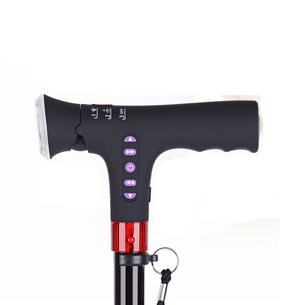 Intelligent Multi-Functional Cane Umbrella for Elderly and Disabled Individuals