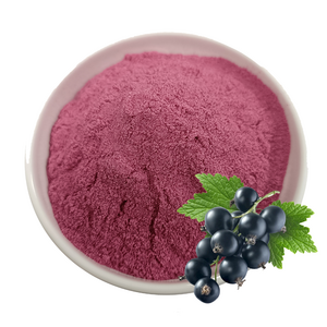 Aronia Fruit Powder Instant Solid Drink Aronia Berry Powder/ Aronia Powder