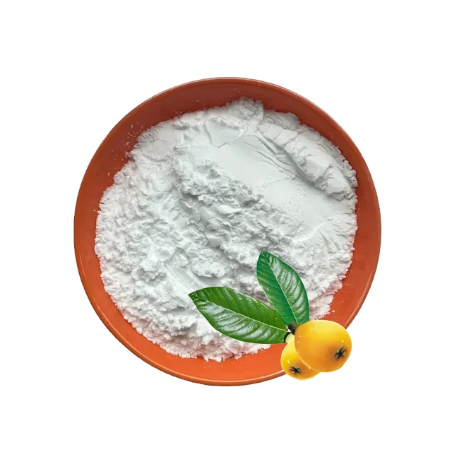 Wholesale Loquat Leaf Extract 98% Ursolic Acid CAS 77-52-1