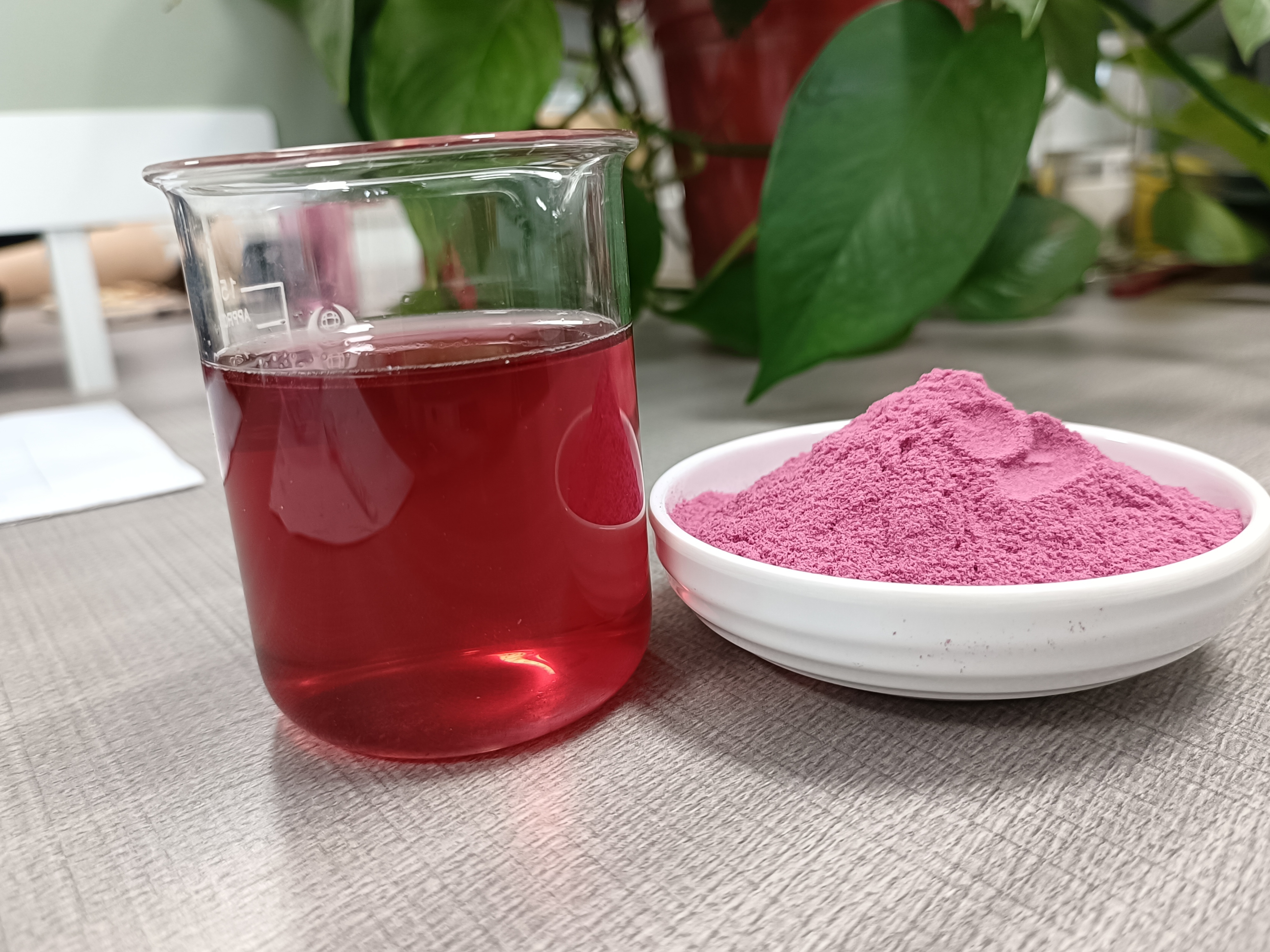 Aronia Fruit Powder Instant Solid Drink Aronia Berry Powder/ Aronia Powder