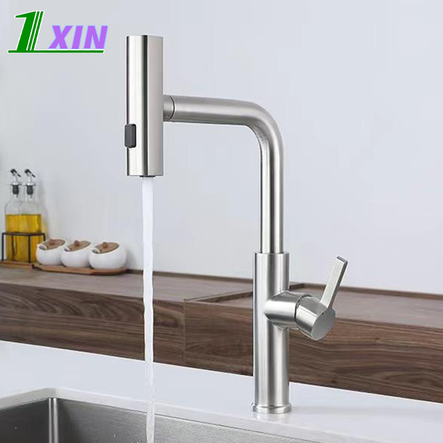 SUS304 stainless steel pull down water tap Single Handle sink Creative design two-in-one pull out kitchen faucet