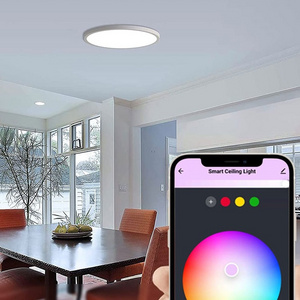 Luxury Nordic Color Changing Round Energy Saving Remote Control Anti-glare Home Decor ABS Led Ceiling Light