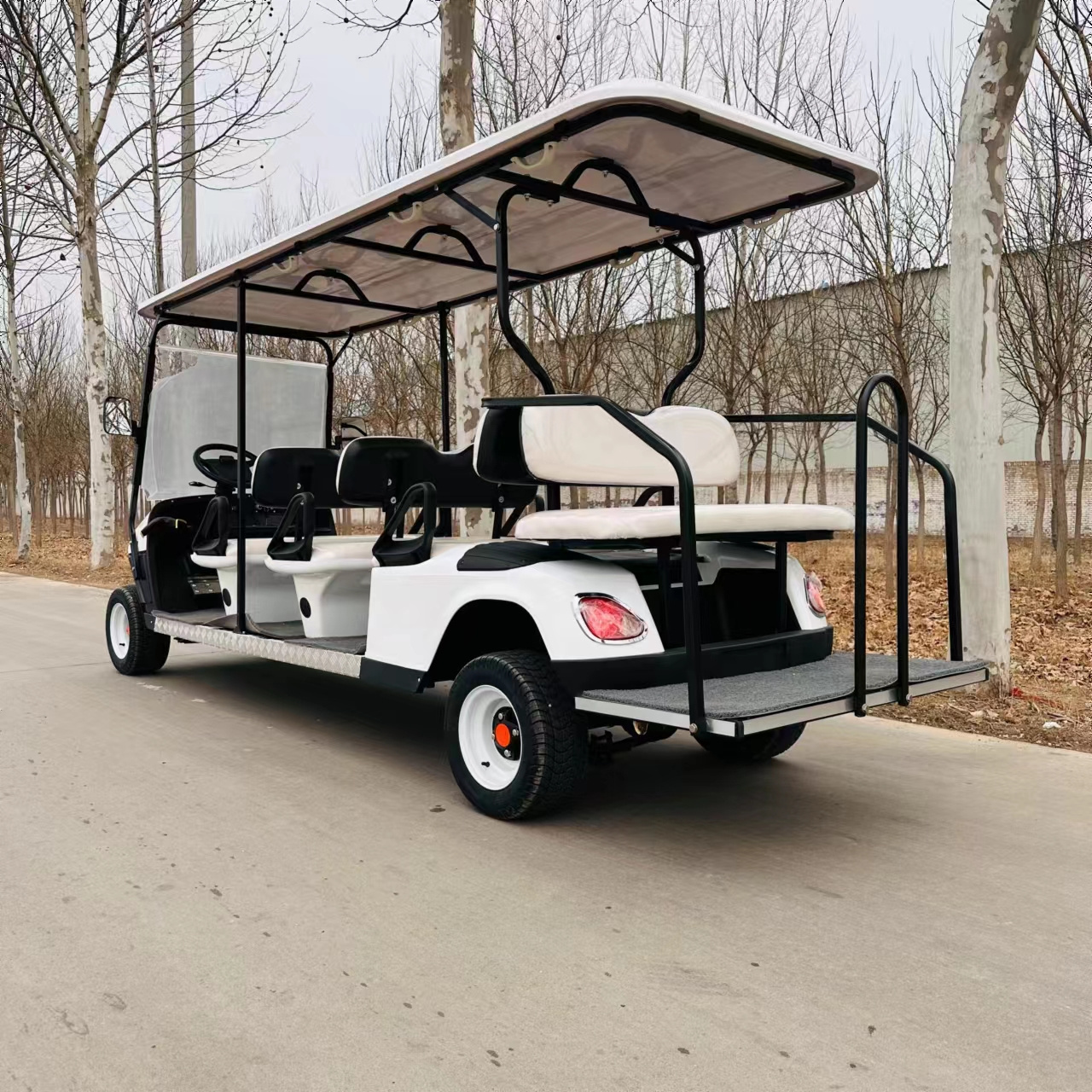 HOT New Golf Carts Gas Powered Operated Golf Cart Four Wheels Electric Golf Scooter Metal Time Controller Storage Charging