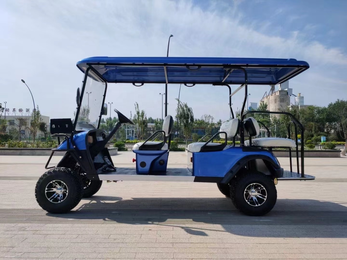 Hot selling 2-seater electric golf cart true power and no rust golf carts