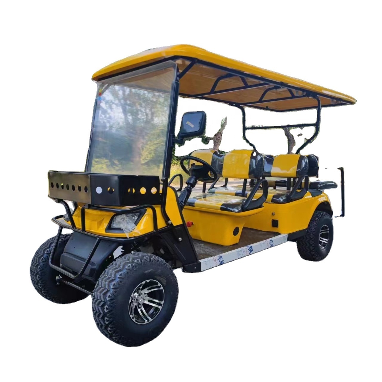 Hot selling 2-seater electric golf cart true power and no rust golf carts