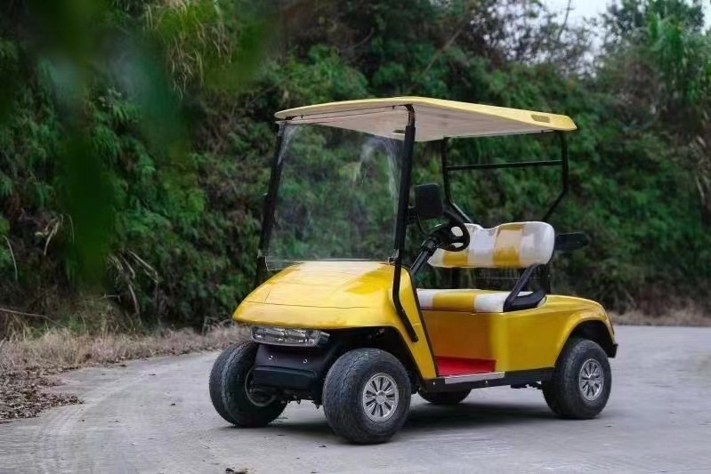 Hot selling 2-seater electric golf cart true power and no rust golf carts