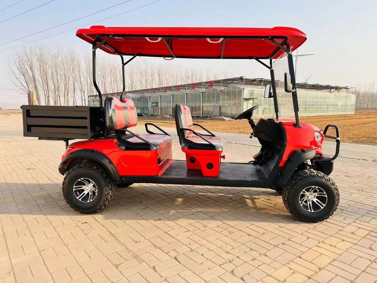 HOT New Golf Carts Gas Powered Operated Golf Cart Four Wheels Electric Golf Scooter Metal Time Controller Storage Charging