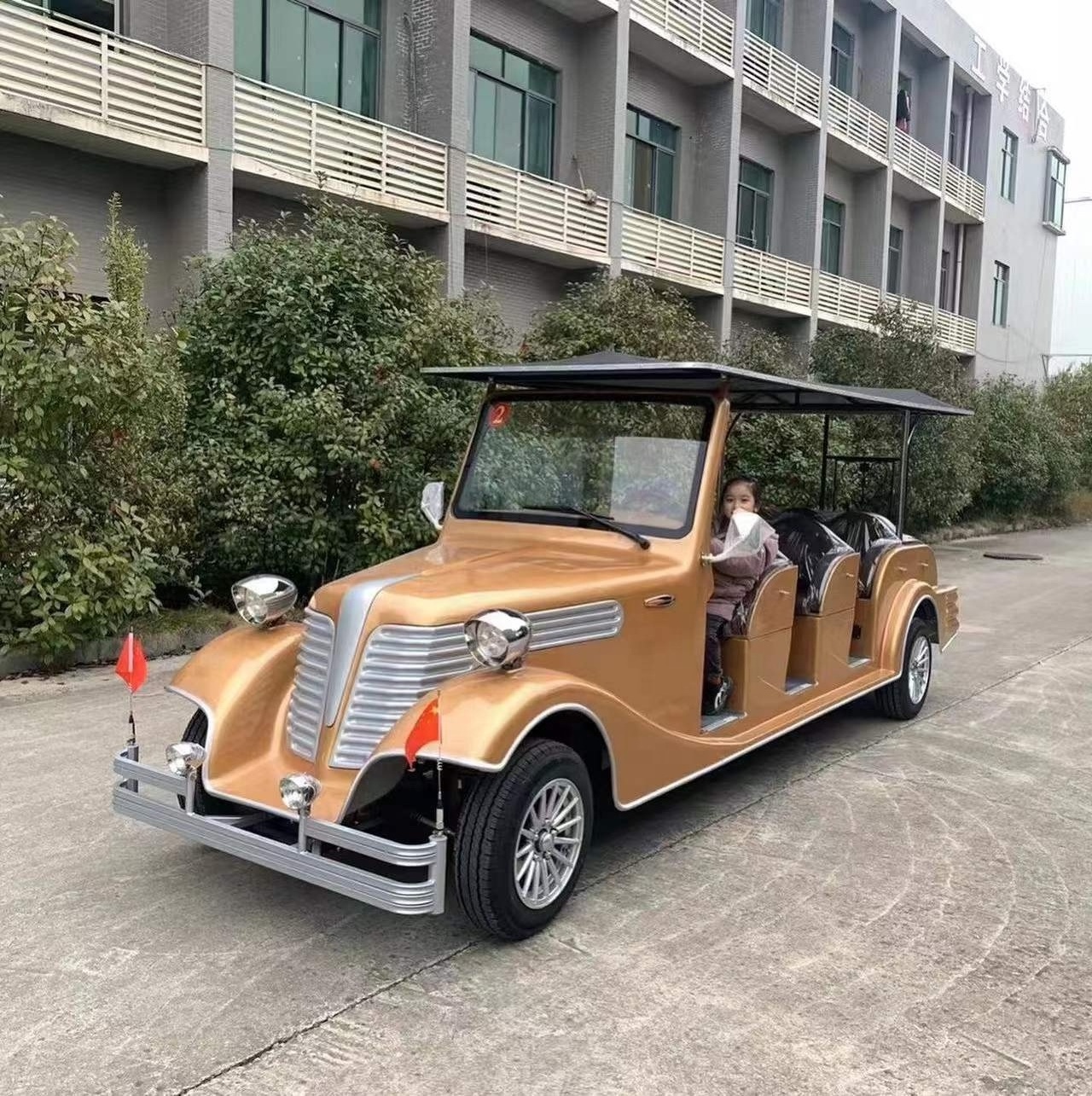 Street Legal Old Retro Golf Cart Buggy Antique Sightseeing Electric Vintage Classic Car per adult vendita