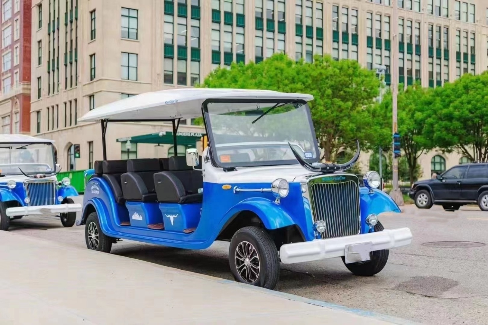 Street Legal Old Retro Golf Cart Buggy Antique Sightseeing Electric Vintage Classic Car per adult vendita