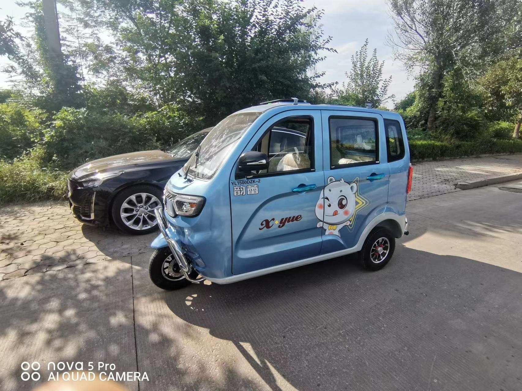 ChinaAuto Rickshaw Price/ India For Sale/Adult Electric Auto Rickshaw