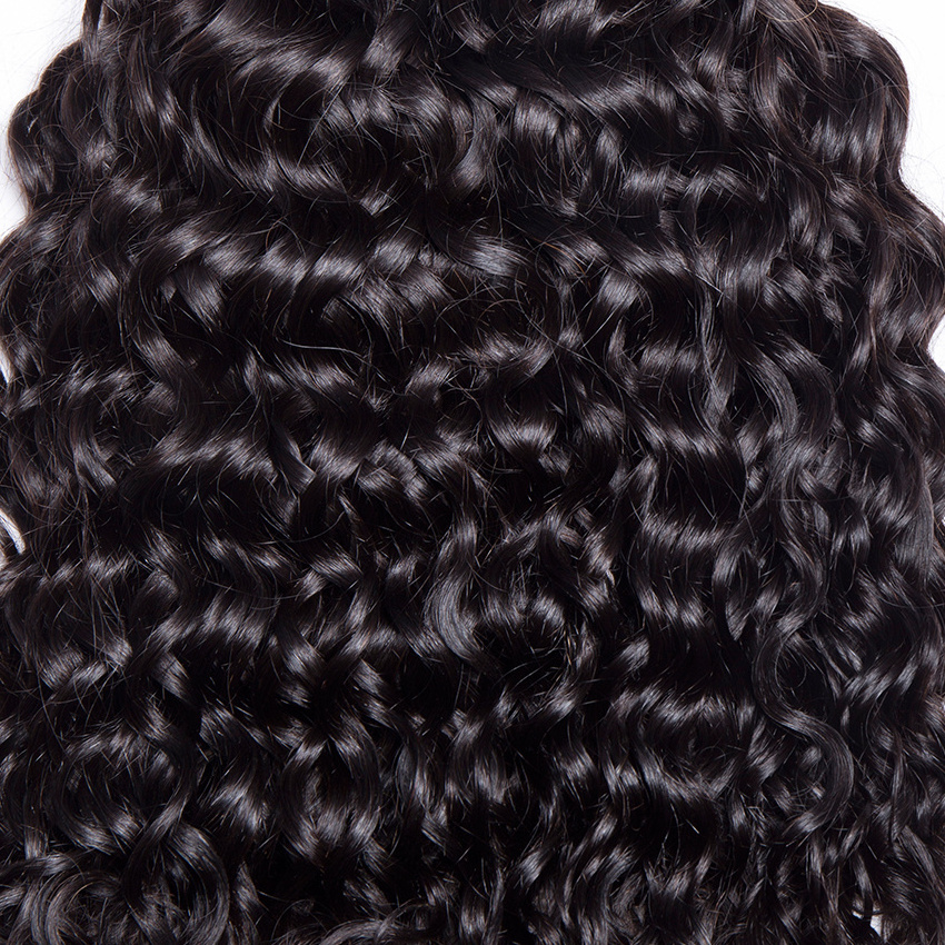 Water Wave Virgin Hair Bundle Human Hair Curly Weave Deals Wet and Wavy Brazilian Extension 9A Unprocessed Natural Natural Black