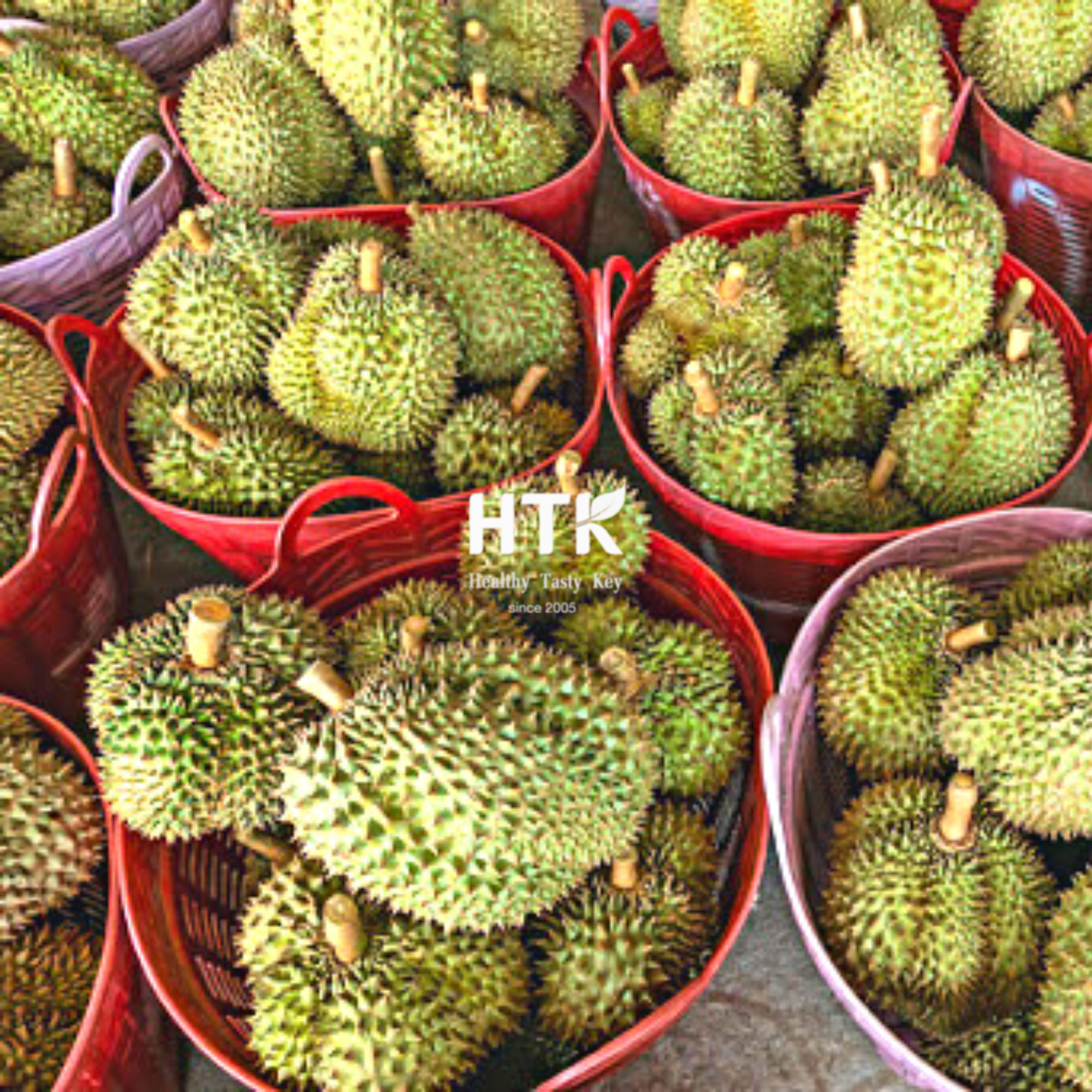 Best Seller Frozen DURIAN with IQF Pulp Flesh BQF Paste Fresh from HTK Food factory in Vietnam for Food & Beverage