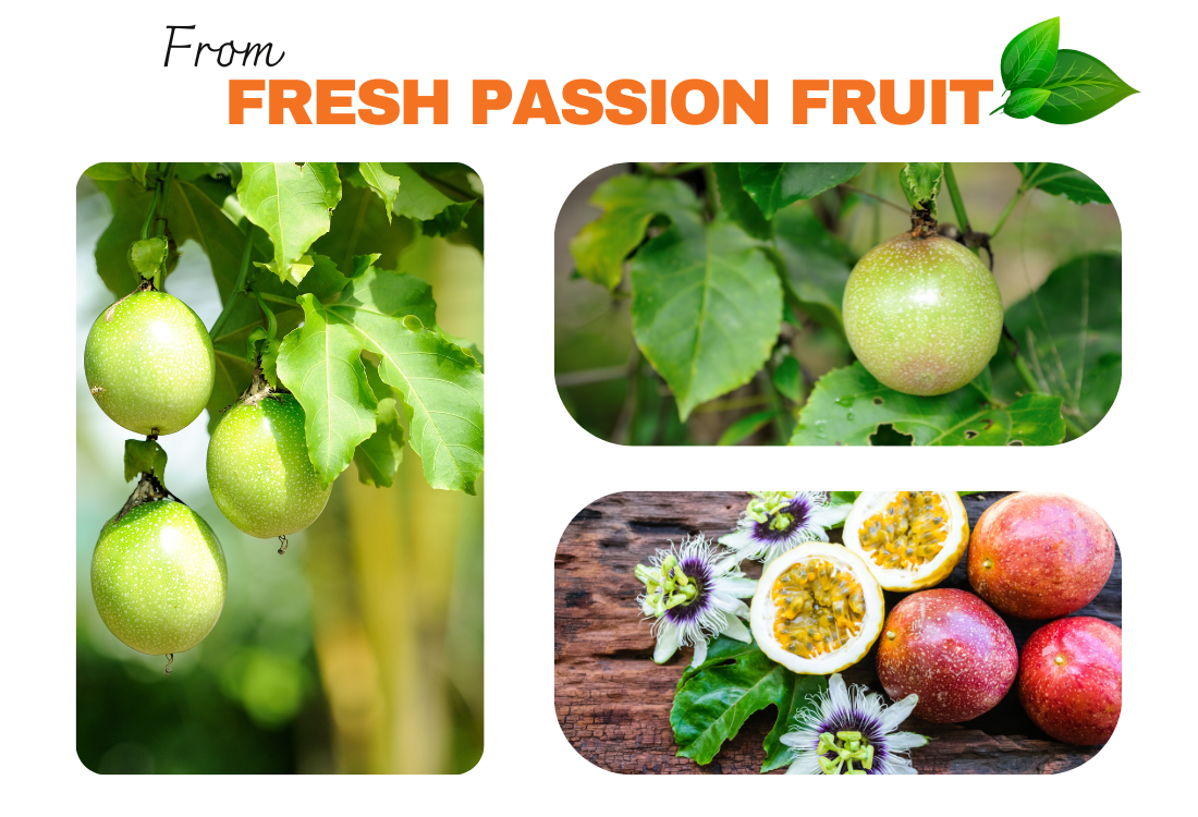 TOP RATED FROZEN PASSION FRUIT JUICE CONCENTRATE Made In Vietnam 100% ORGANIC for Food & Beverage healthy