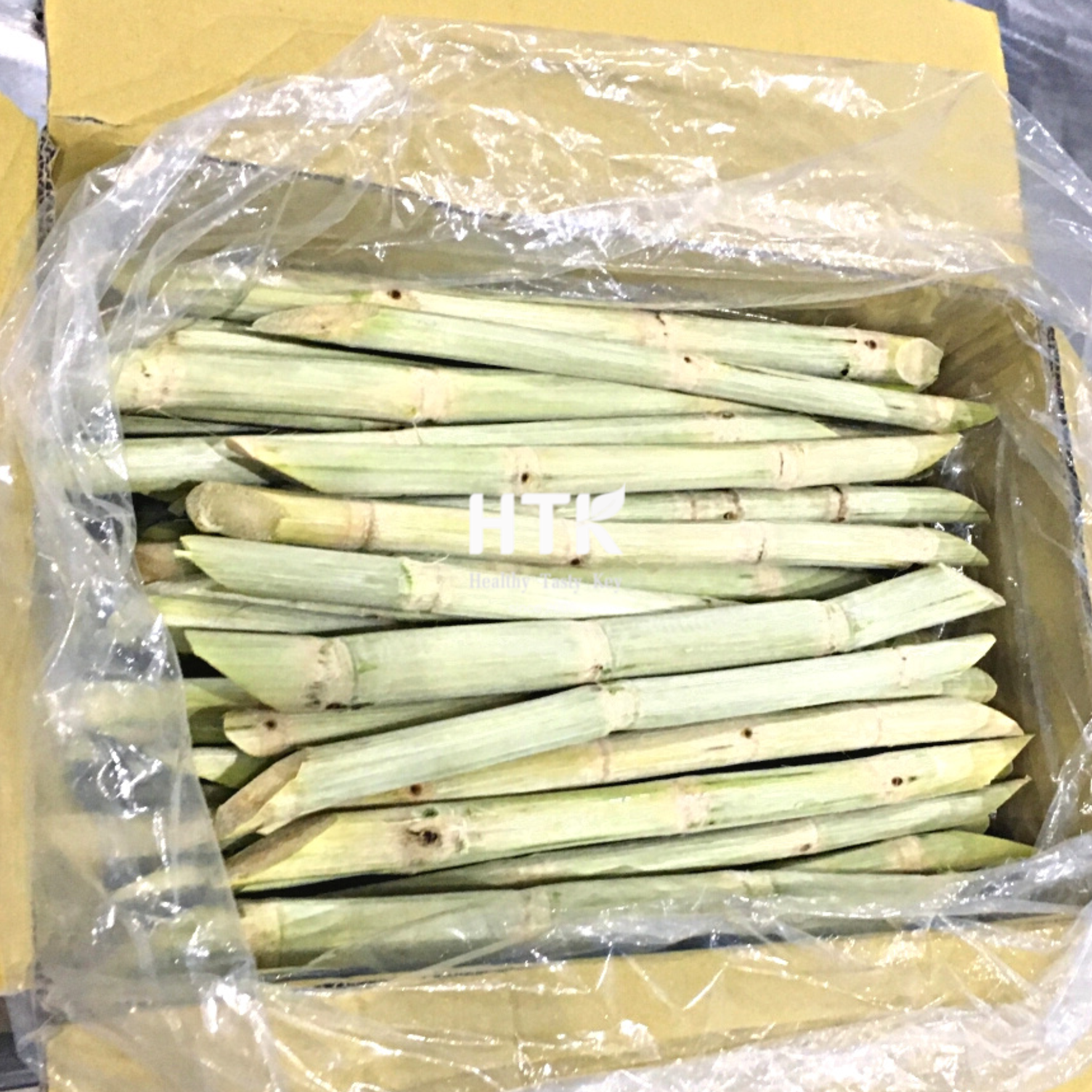 Best Seller Frozen SUGARCANE SUGAR CANE Stems IQF Cubes BQF Juice from HTK Food factory in Vietnam for Food & Beverage