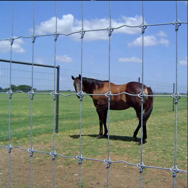 Long Veldspan Gate Farm Field Fence Sheep Farm Wire Cattle Fence 1.8m High 100m Metal Iron Garden Fence