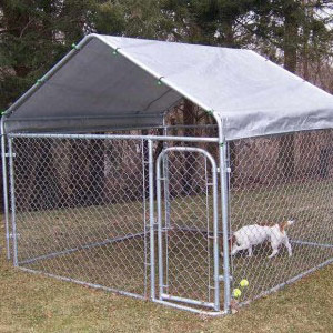 Triple Dog Run Kennel With Metal Top Roof Cover