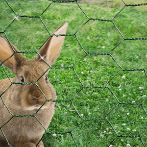 Rabbit Cage Chicken Wire Mesh Netting  Aviary Plant Net