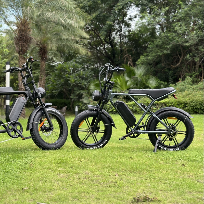 electric fat tire bike ouxi v8 fatbike 250w 750w fat tire e-bikes fat electric bike 20inches original design hydraulic brake