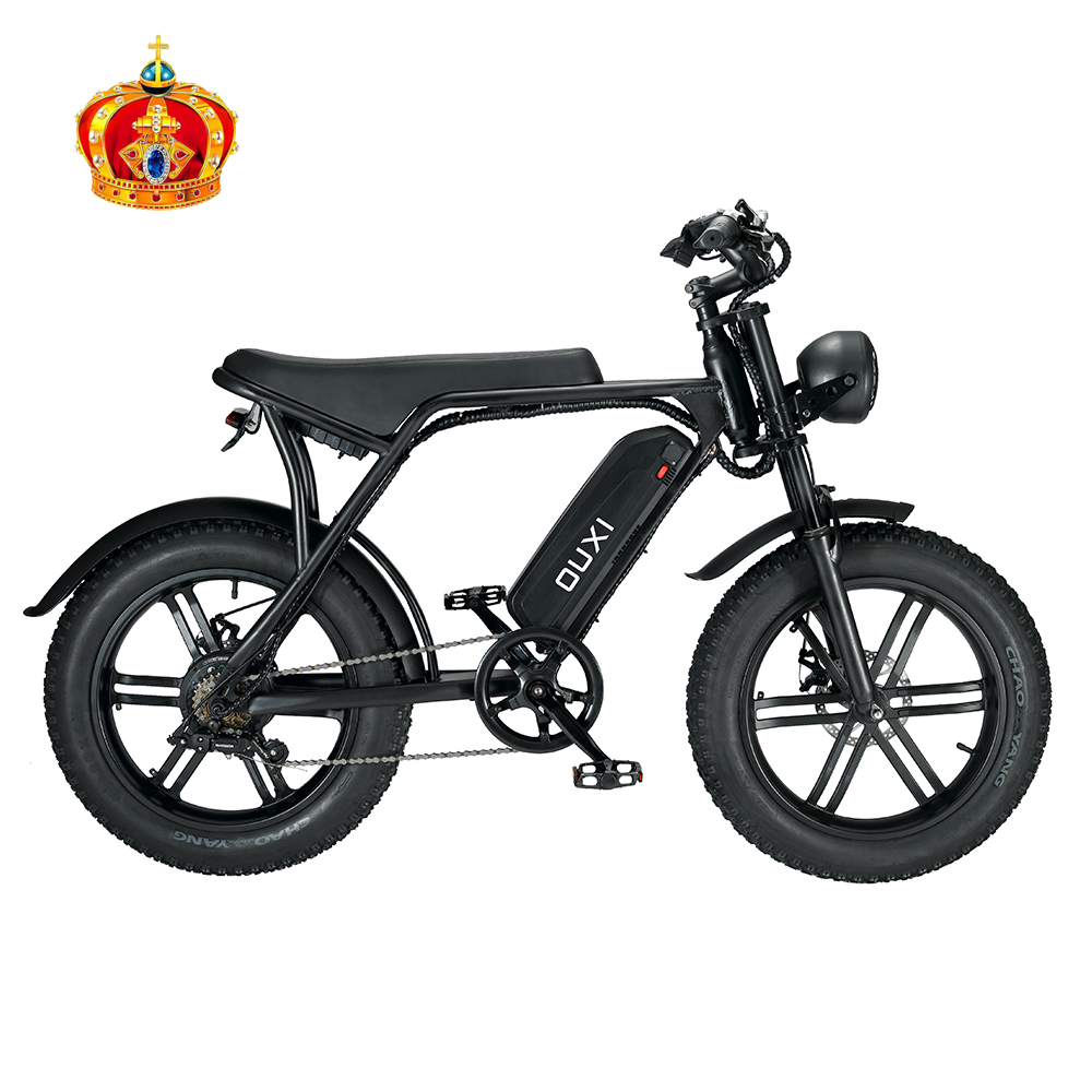 China New Type electric scooter 2 seater 48V 750W Electric City Bike bike E Cycle Electric Bicycle