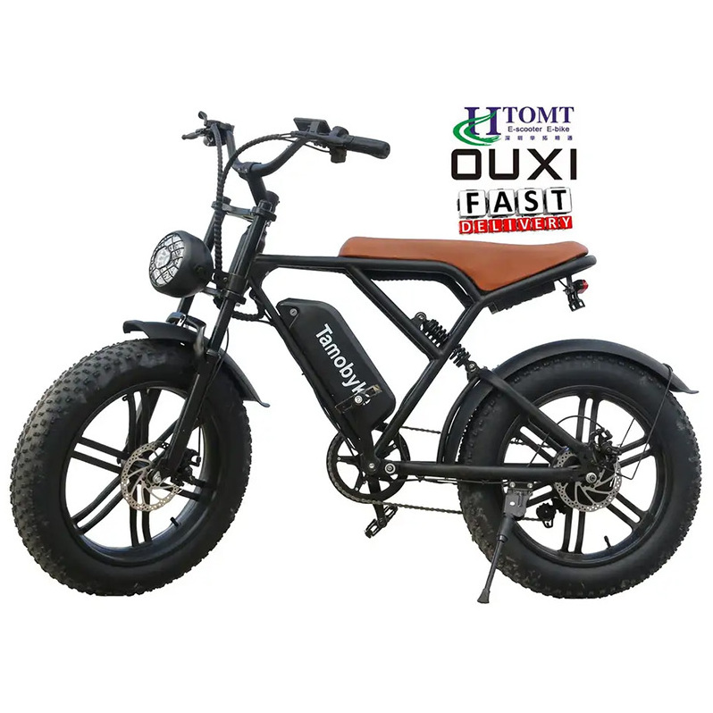 2 Battery Electric Bike Eu Us Warehouse Dropshipping Fat Tyre Bike Cycle E Bicycle Motor Moped Vintage Motorcycle With Sidecar