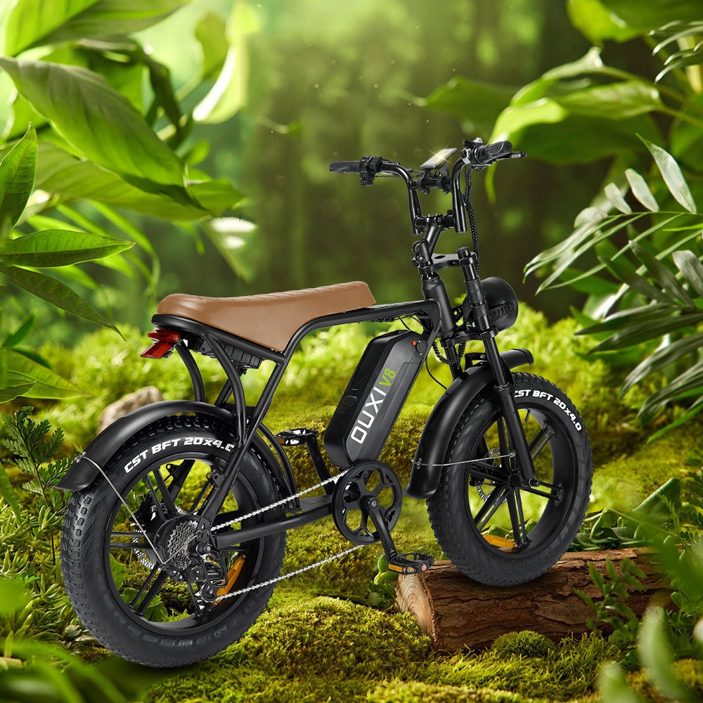 electric bike eu warehouse Cheap long Seat 48V Fatbike Adults 2 person ELECTRIC BICYCLE 750W electric motorcycle ebike