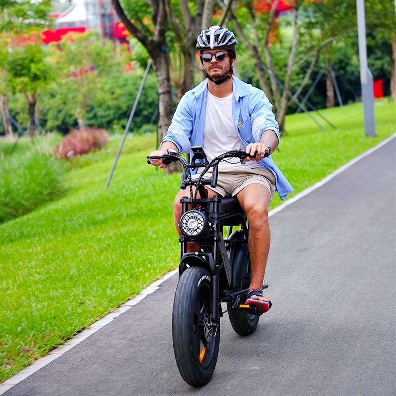 OUXI V8 1000w electric bike 800w fat tire bicycle beach cruise e-bike all terrain offroad ebike bicycle fatbike 250w