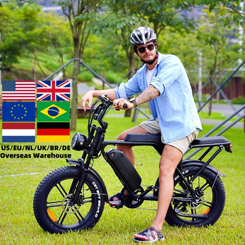 OUXI V8 20inch 1000w electric bike 800w fat tire bicycle beach cruise e-bike all terrain offroad ebike bicycle