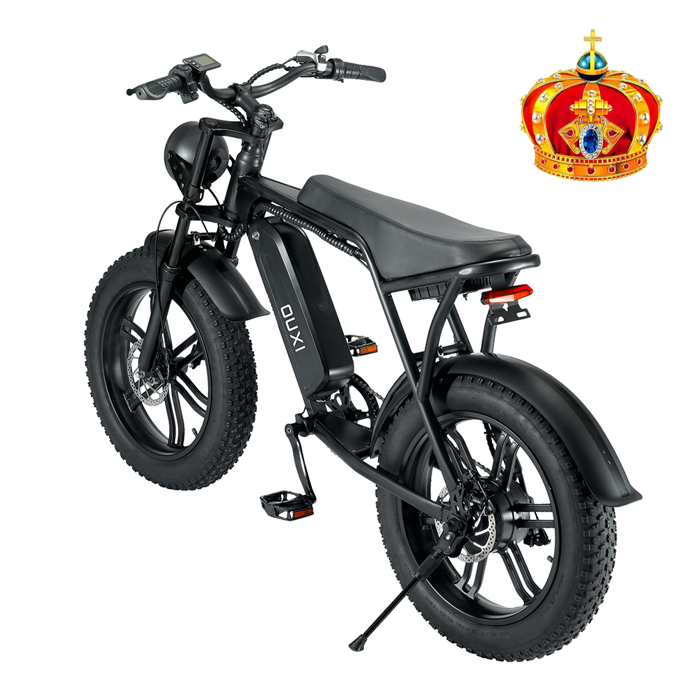 China New Type electric scooter 2 seater 48V 750W Electric City Bike bike E Cycle Electric Bicycle