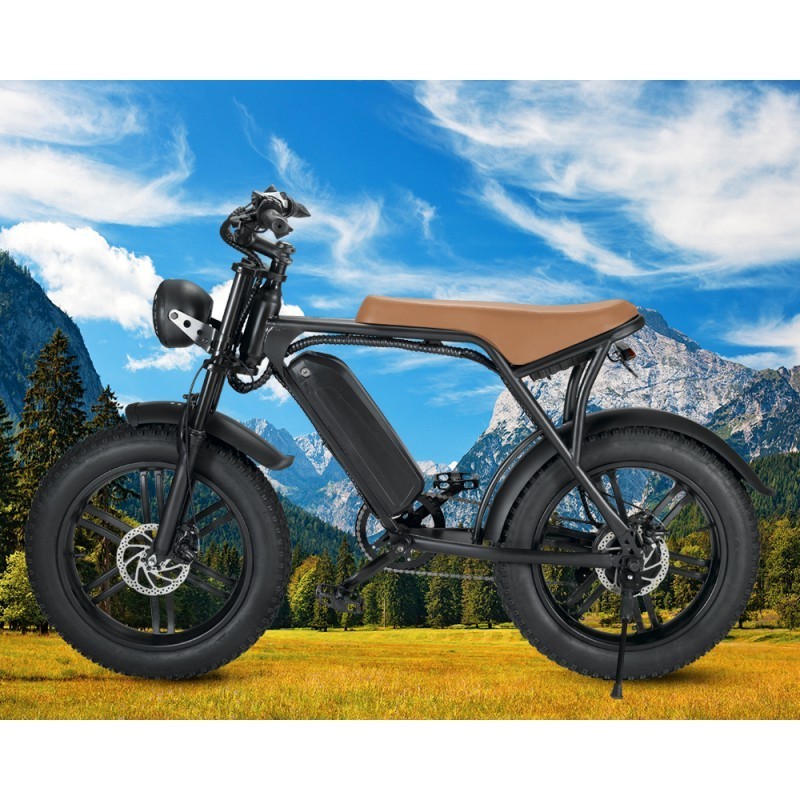 Ebike 750w Retro Chopper Fat Tire Electric Bicycles Electric Motorbike ebike electric bike