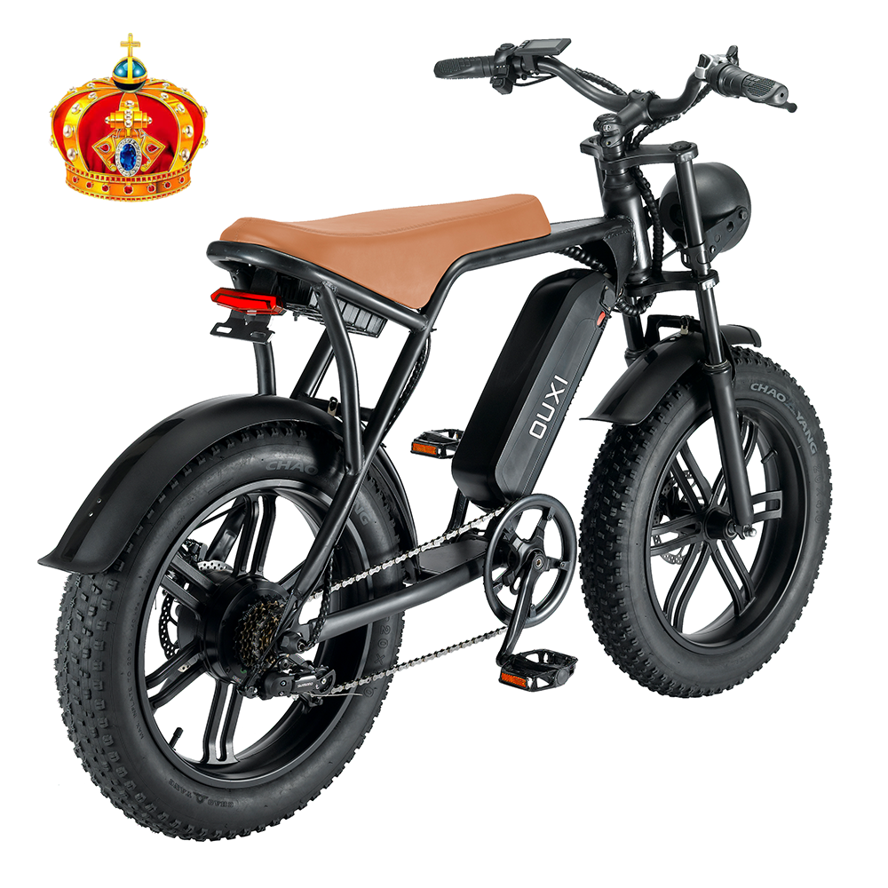 China New Type electric scooter 2 seater 48V 750W Electric City Bike bike E Cycle Electric Bicycle