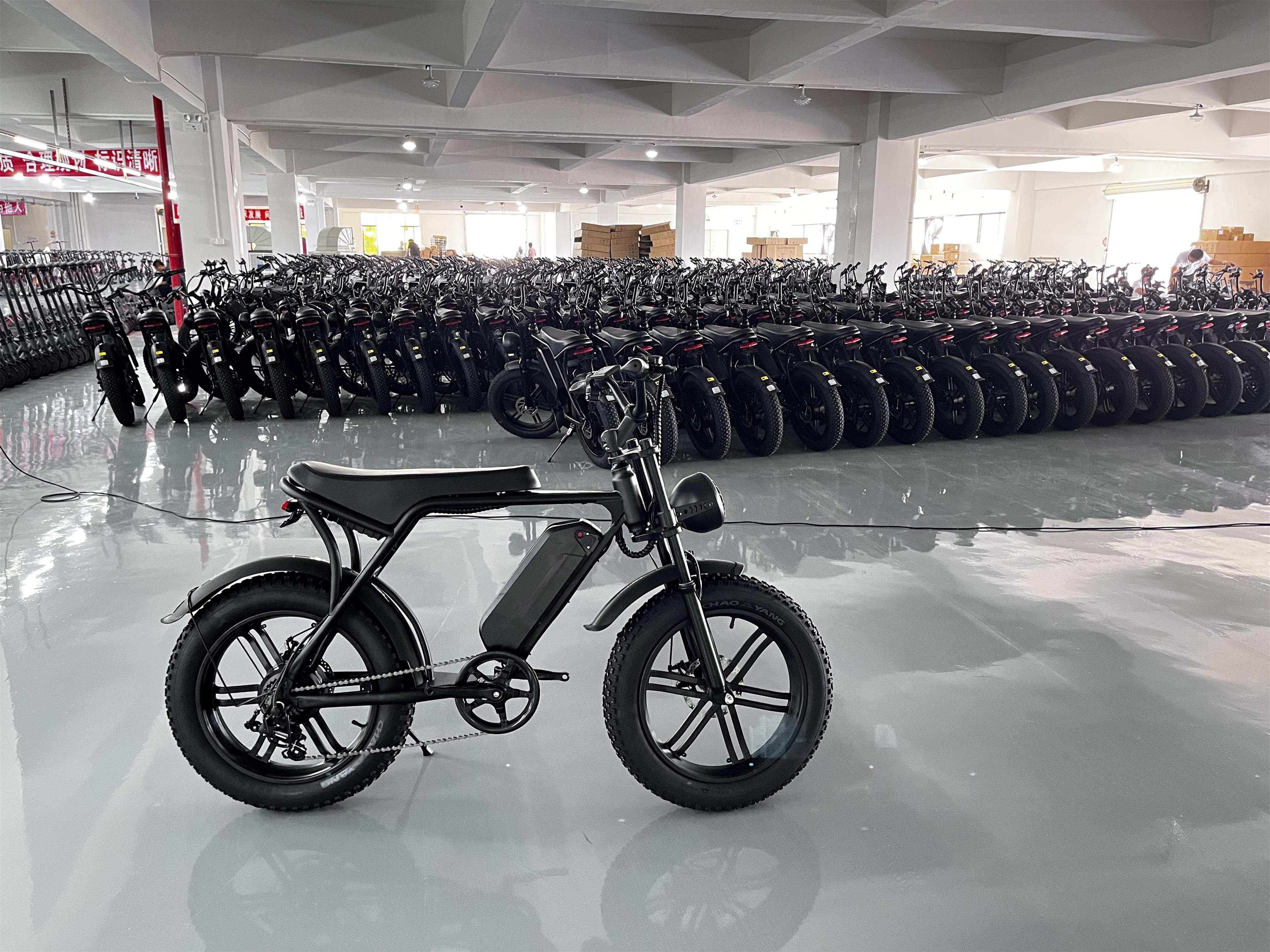 OUXI V8 double battery version ebike with rear seat fatbike 250w