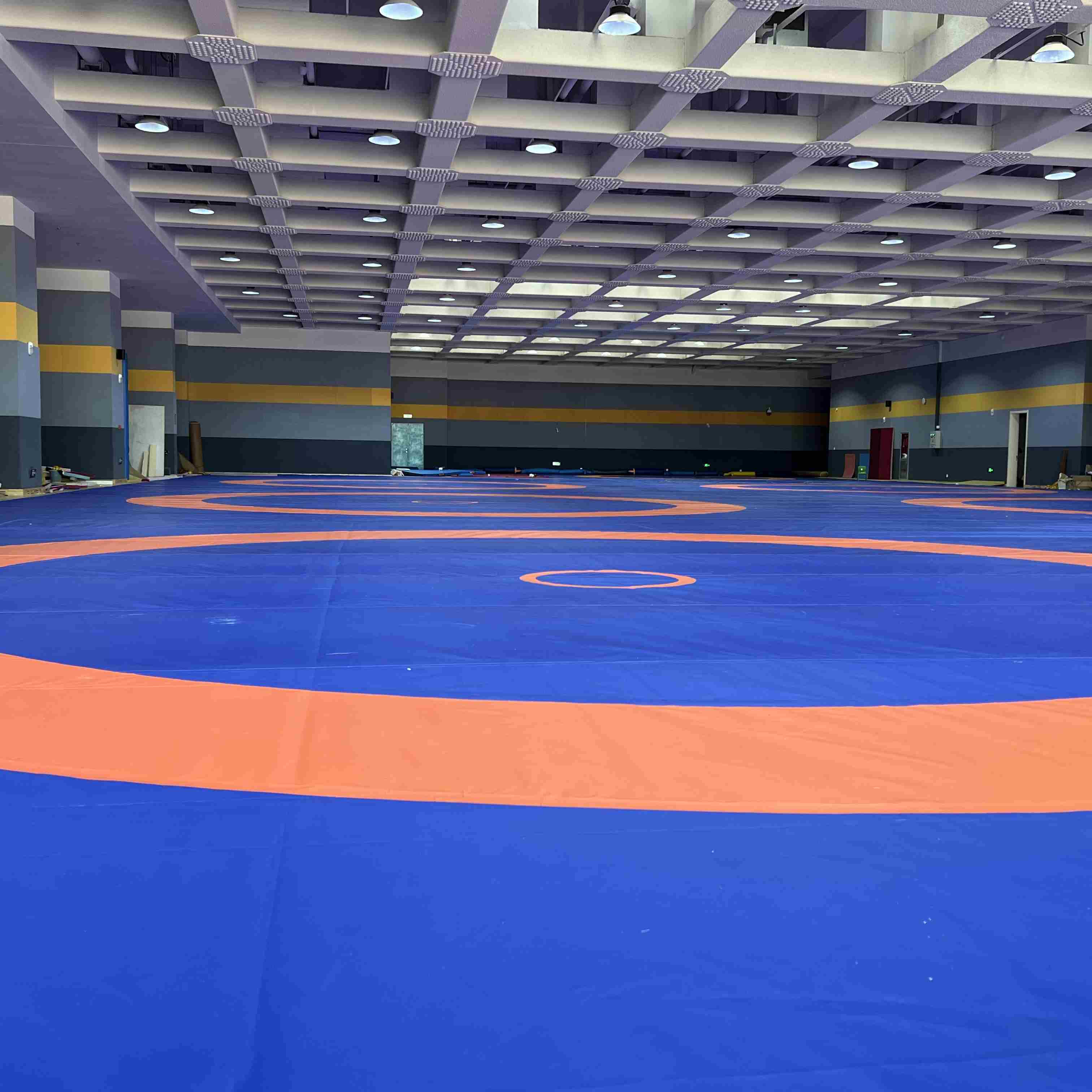 10x10 ft Vinyl Tatami Texture Wrestling Roll Mat Judo & Aikido Tatami mats for Wrestling & Training