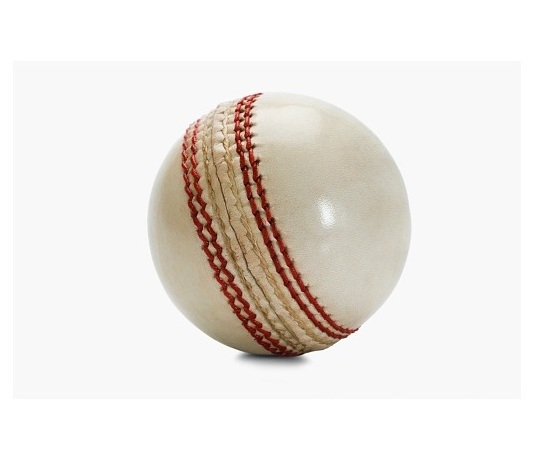 Cricket Wind Professional Cricket Leather Cricket Ball In Multi Colors Hard Balls