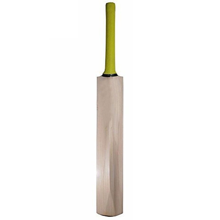 cricket set with ball and cricket bat wooden for backyard games