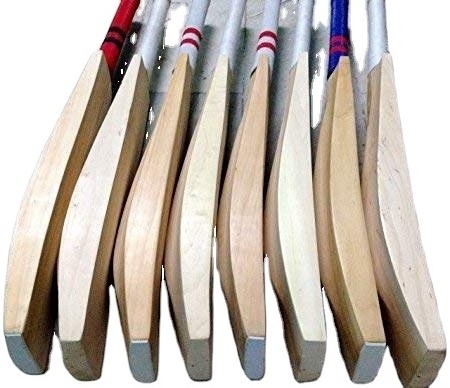 cricket set with ball and cricket bat wooden for backyard games