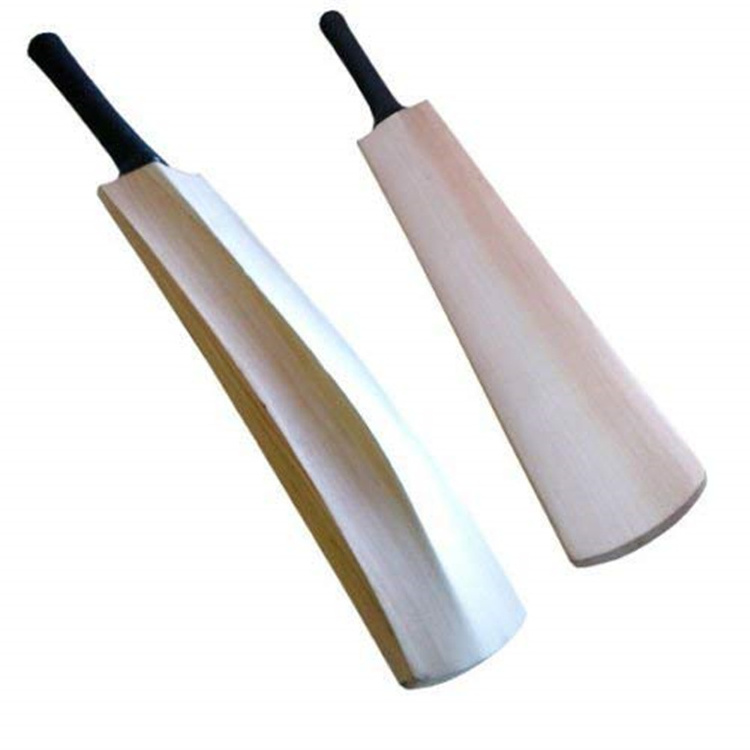 cricket set with ball and cricket bat wooden for backyard games