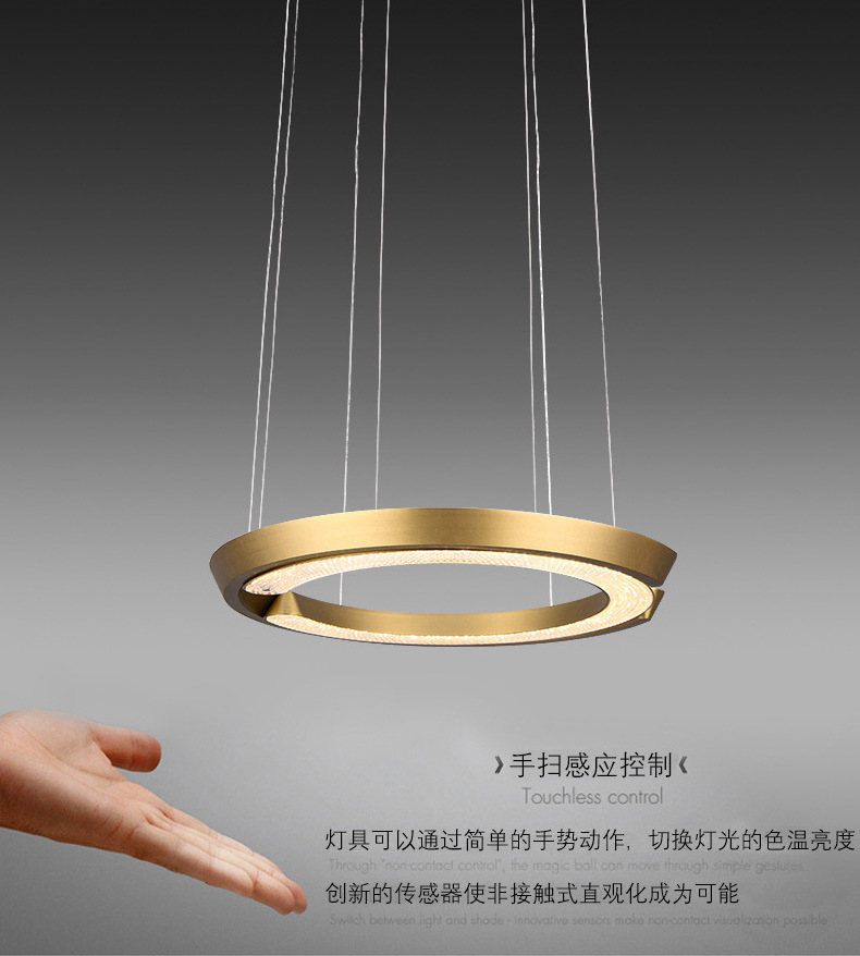 Modern touchable movable up and down creative pendant lamp hanging lighting fixture for living room home decoration