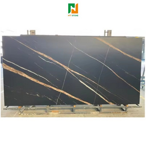 Wholesale Price Absolute Black Granite Table Top Exterior Granite Flooring Petrified Wood Granite Slab