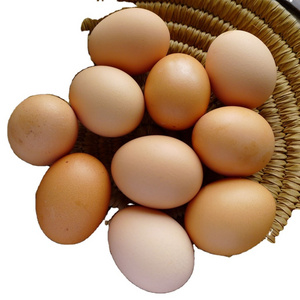 Buy Fertile Hatching Chicken Egg Wholesale/High Quality Fresh Chicken Table and Hashing Eggs For Sale