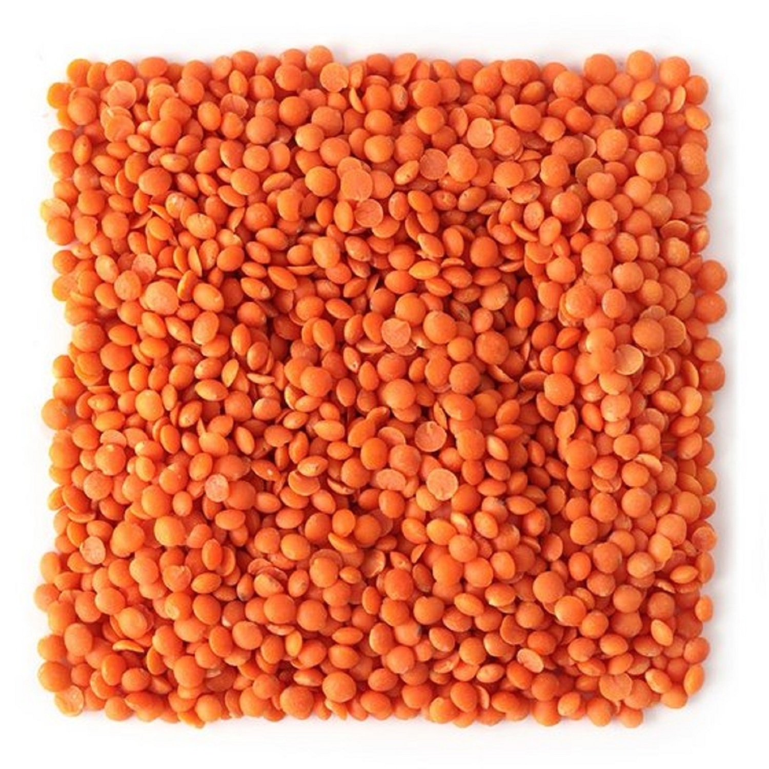 Red Lentils Whole Lentils Split Lentils Best Price Masoor Dal