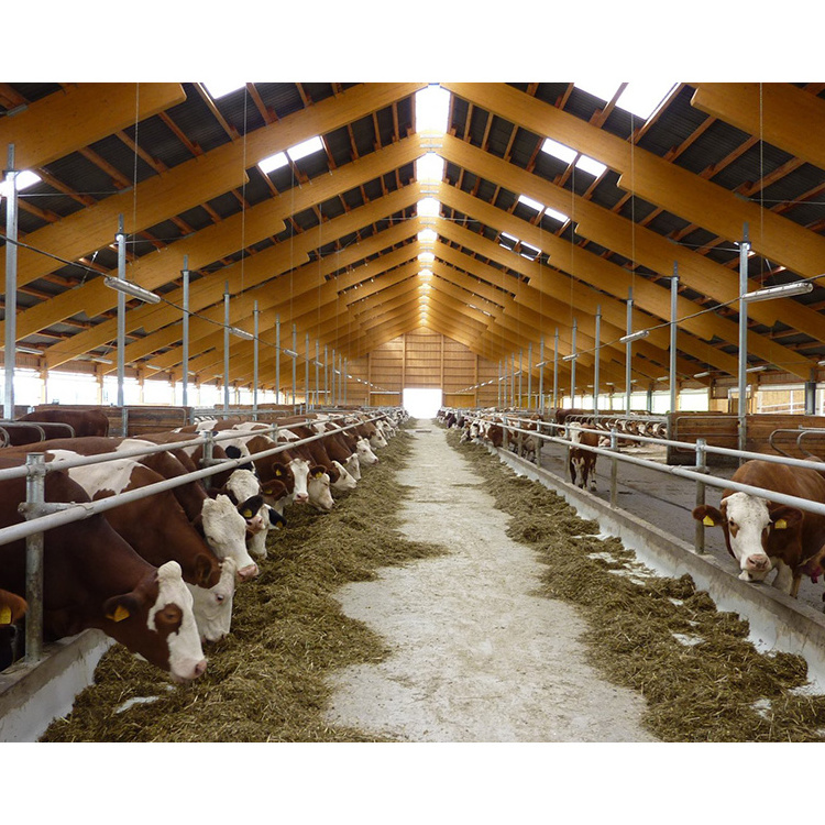 Prefabricated cheap light steel structure cattle farm building  cow shed for sale