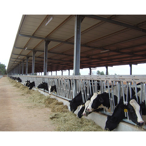 China prefab low cost hot dip galvanized modern steel structure cattle shed design cow farm building