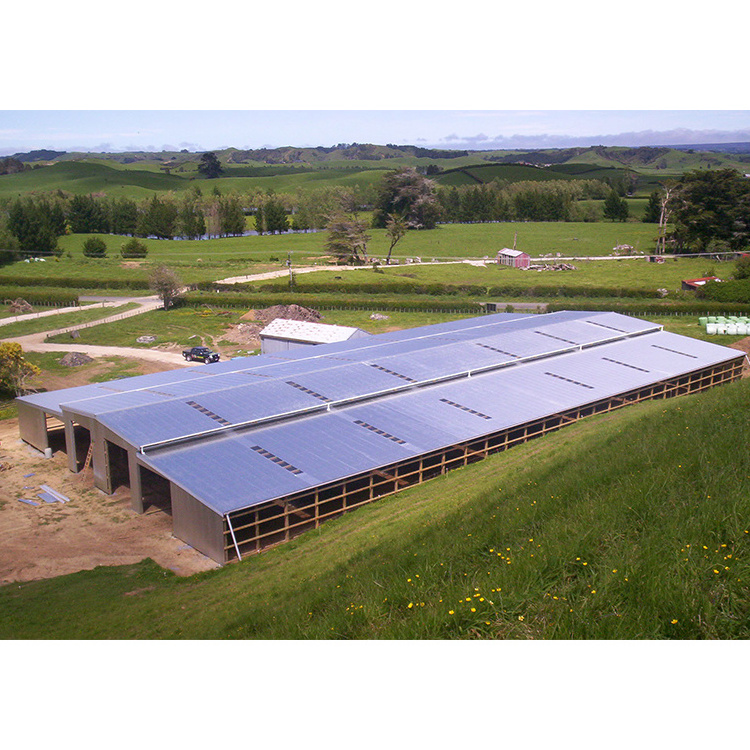 Prefab steel structure livestock shed cheap sheep barns cattle shed cow shed goat house farm building