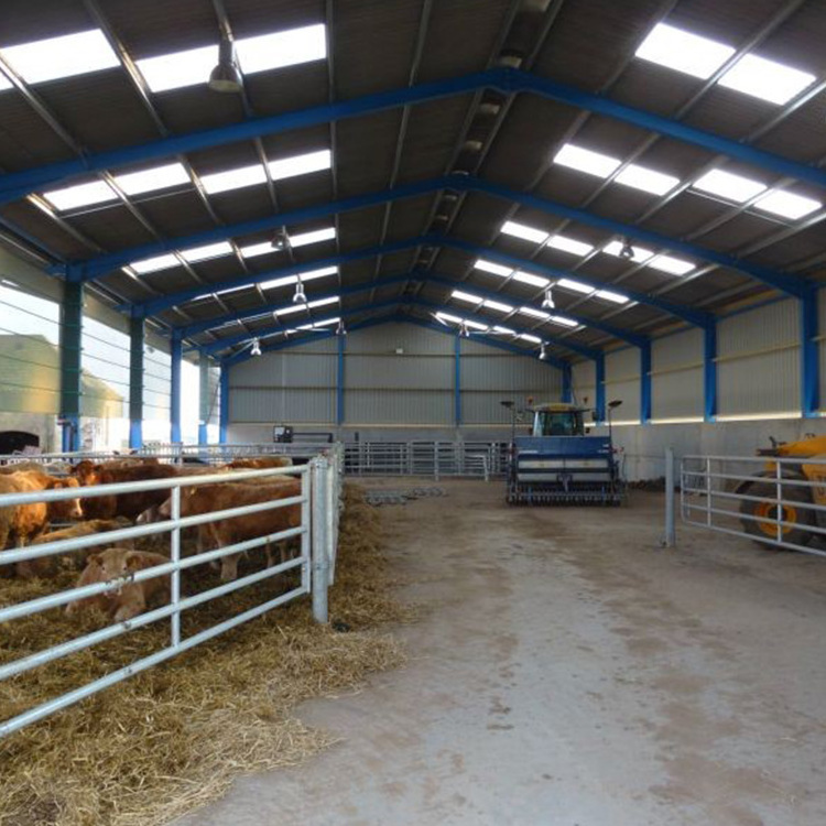 China made easy install prefabricated cattle farming barn cow hangar shed steel structure