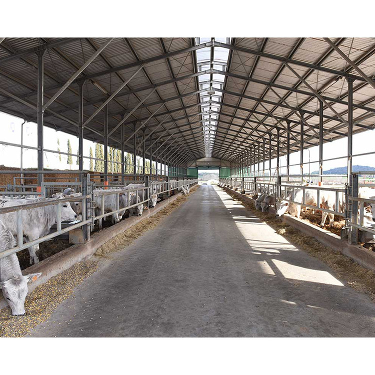 China prefab low cost hot dip galvanized modern steel structure cattle shed design cow farm building