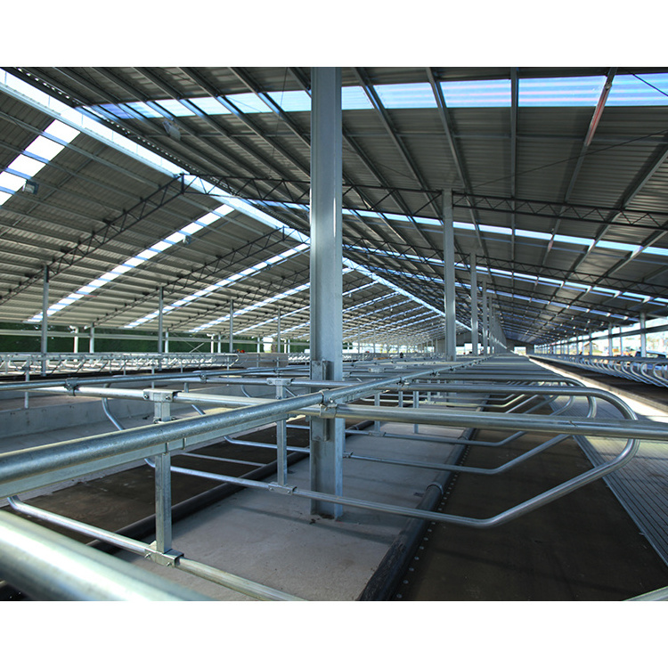 China made easy install prefabricated cattle farming barn cow hangar shed steel structure