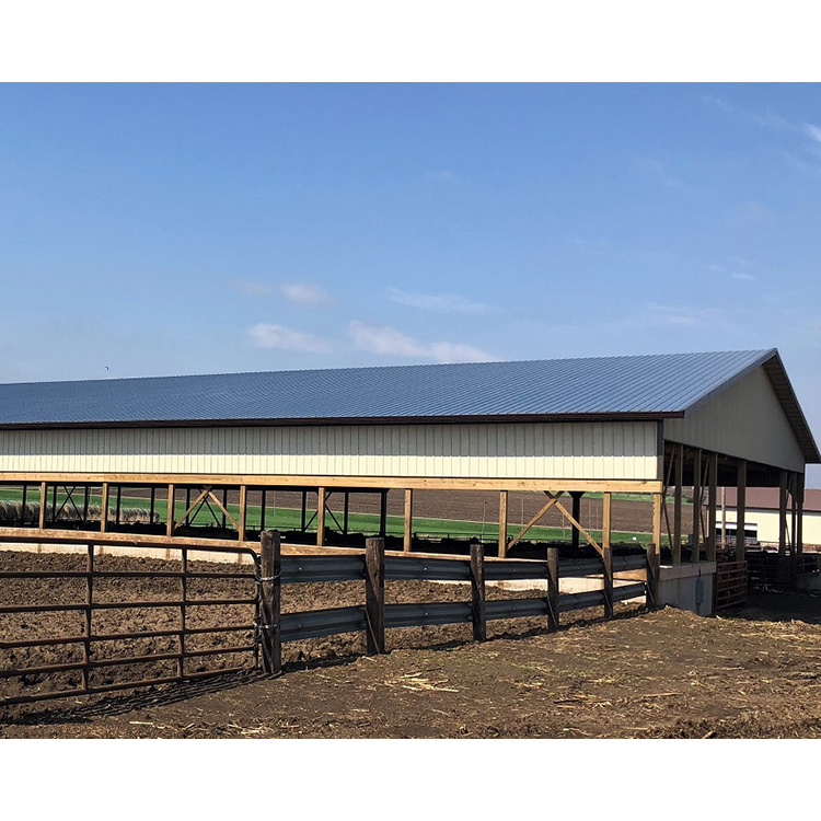 China prefab low cost hot dip galvanized modern steel structure cattle shed design cow farm building