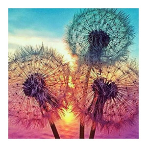 5d Diamond Painting Dandelion Full Drills Canvas Painting Wall Art Decorations Flower Diamond Embroidery Kits